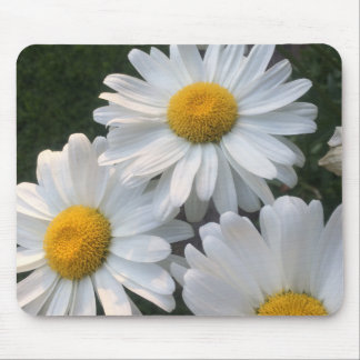 White Daisies Mouse Pad
