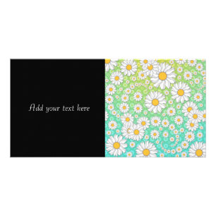 White Daisies on Blue Green Background Card