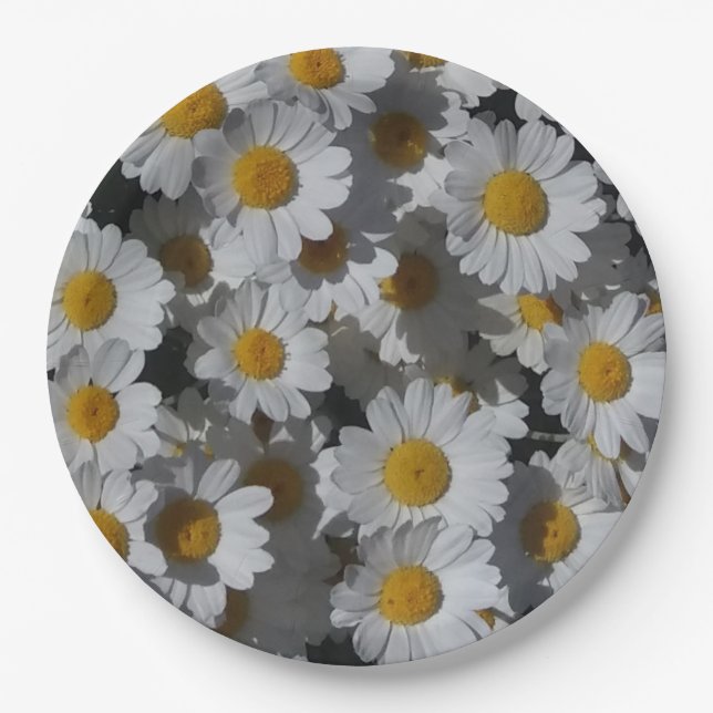 White Daisies Paper Plates (Front)