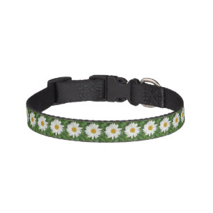 White Daisies Pet Collar