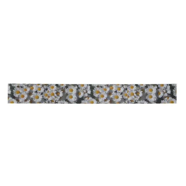 White Daisies  Satin Ribbon (Front)