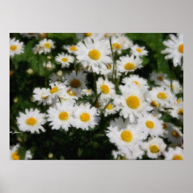 White Daisies Watercolor Poster (Front)