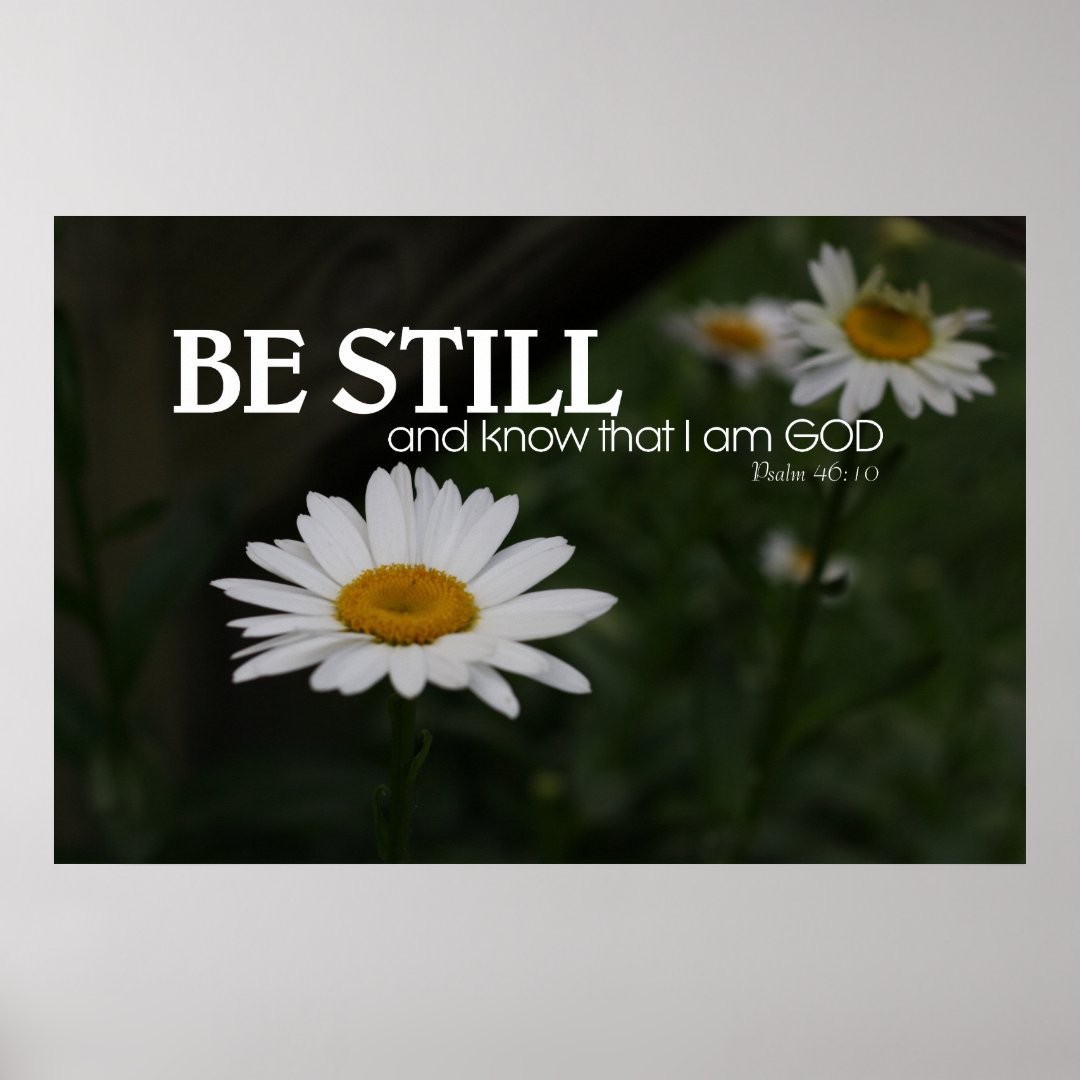 White Daisies with Optional Bible Verse Poster Zazzle