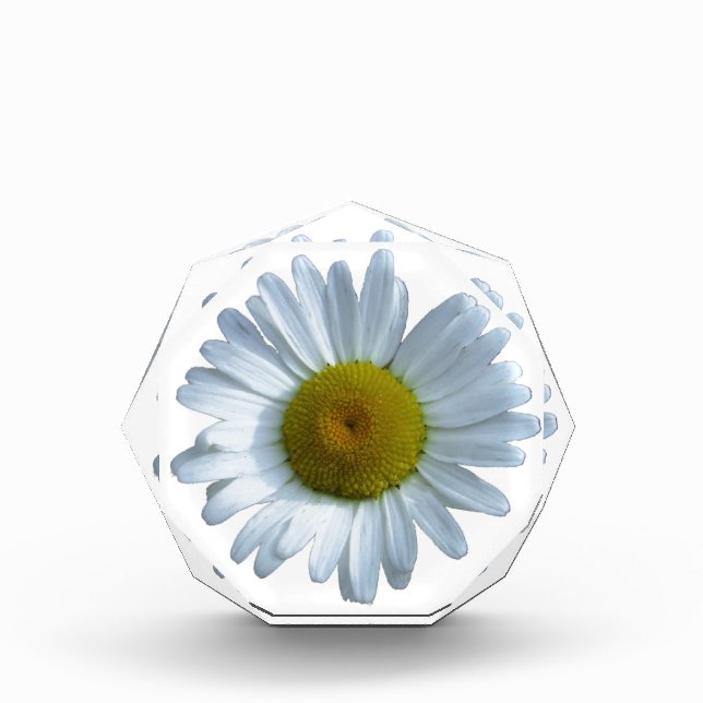 White Daisy Acrylic Award (Front)