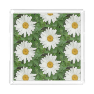 White Daisy Acrylic Tray