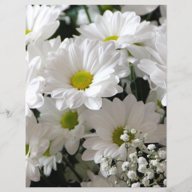 White Daisy and Baby Breath Scrapbook Paper (Front)