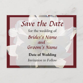 White Daisy Backlit Save the Date Announcement Postcard