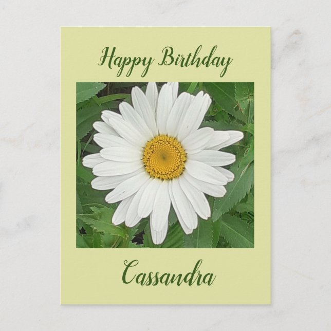 White Daisy Birthday Postcard (Front)