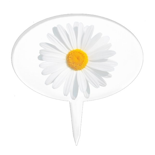 white daisy cake topper (Front)