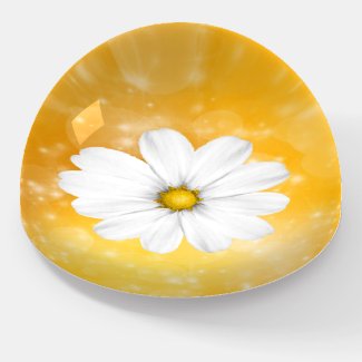 White Daisy Captured in Yellow Glass Universe Paperweight