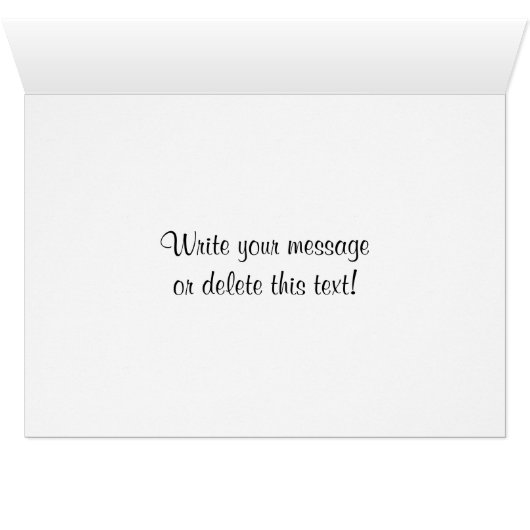 White Daisy Card (Inside Horizontal (Bottom))