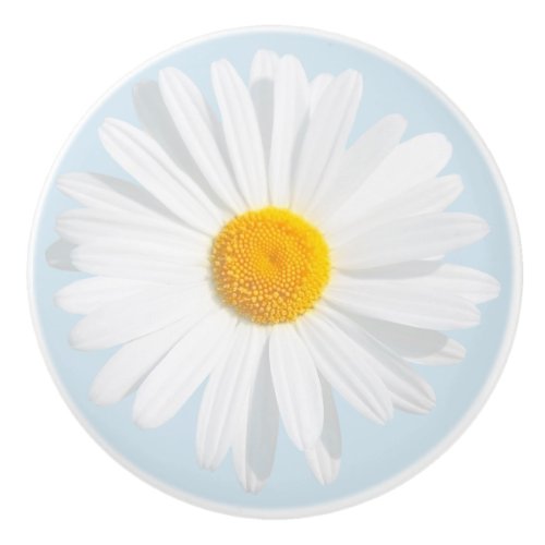 white daisy ceramic knob