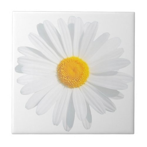 white daisy ceramic tile