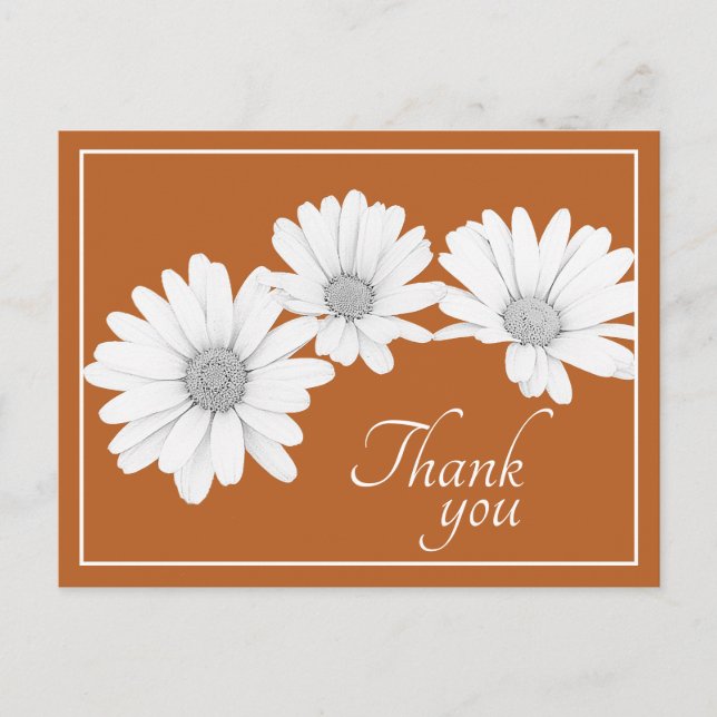 White Daisy Chain With Cinnamon Backdrop Thank You Postcard (Front)