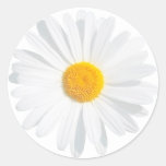 white daisy classic round sticker