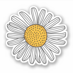 White daisy drawing sticker
