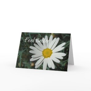 White Daisy - Feel Better - Customizable Card