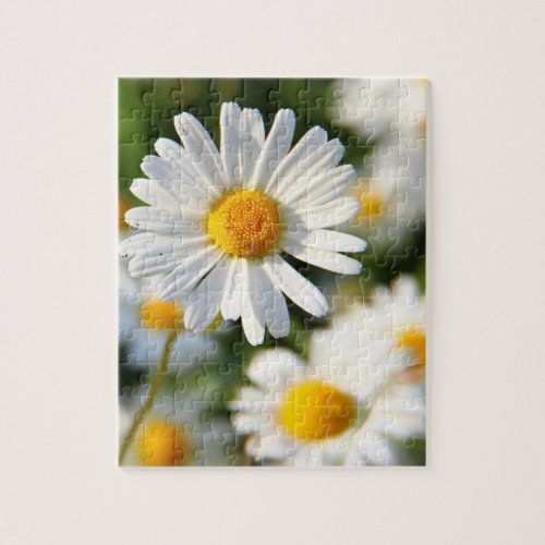 White Daisy Floral Jigsaw Puzzle