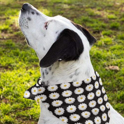 White Daisy Floral Pattern on Black Bandana