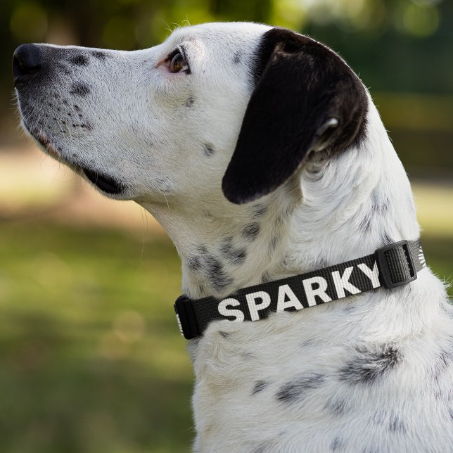 White Daisy Floral Pattern on Black Personalized Pet Collar (In Situ)