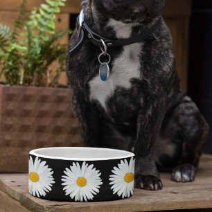 White Daisy Floral Pattern on Black Pet Bowl