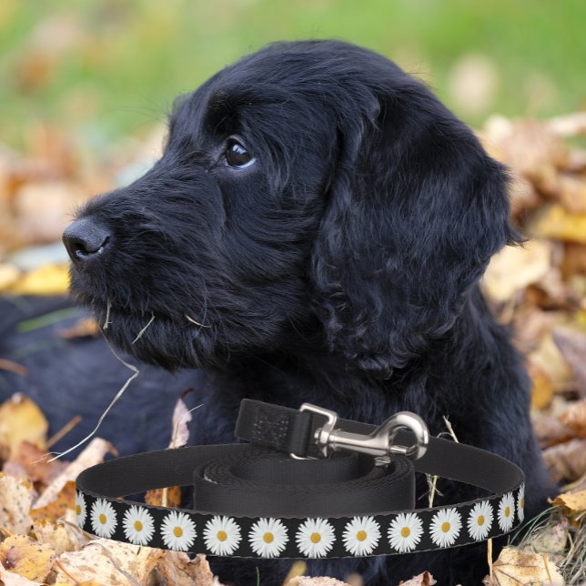 White Daisy Floral Pattern on Black Pet Leash (In Situ)
