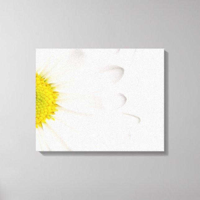 White Daisy Flower Background Customized Daisies Canvas Print (Front)