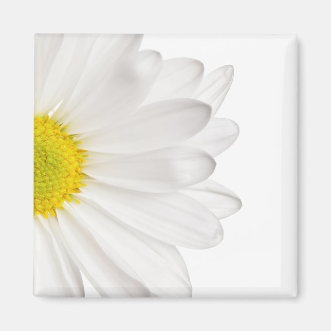 White Daisy Flower Background Customized Daisies Magnet (Front)