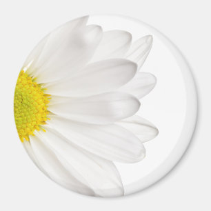 White Daisy Flower Background Customized Daisies Magnet