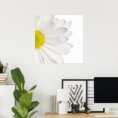 White Daisy Flower Background Customized Daisies Poster | Zazzle