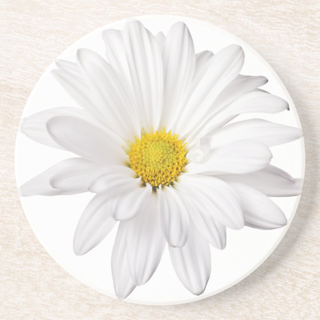 White Daisy Flower Background Customized Daisies Sandstone Coaster (Front)