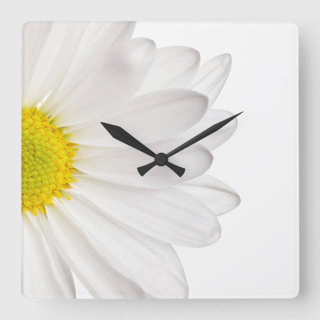 White Daisy Flower Background Customized Daisies Square Wall Clock (Front)