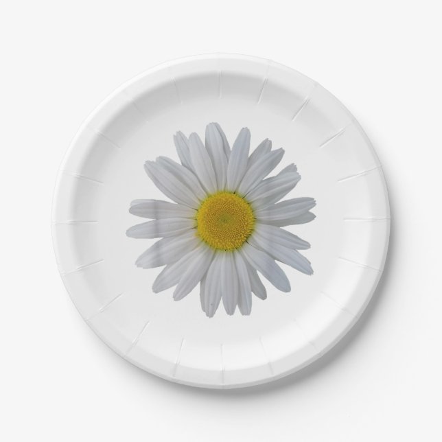 White daisy flower, blooming daisy, blooms, flower paper plates (Front)