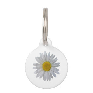White daisy flower, blooming daisy, blooms, flower pet ID tag