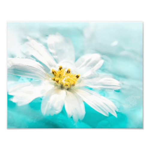 White Daisy Flower Blue Water Pond Tropical Photo Print