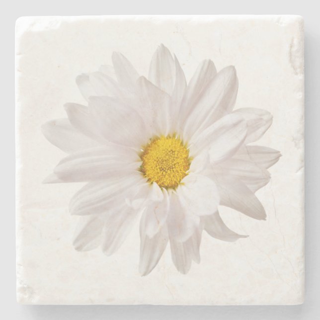 White Daisy Flower Design Floral Daisies Template Stone Coaster (Front)