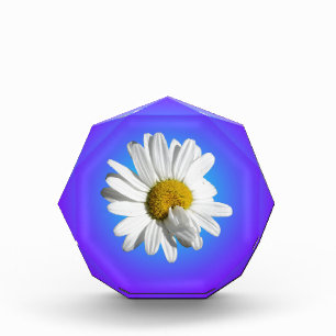 White Daisy Flower Floral Purple Blue Gradient Award