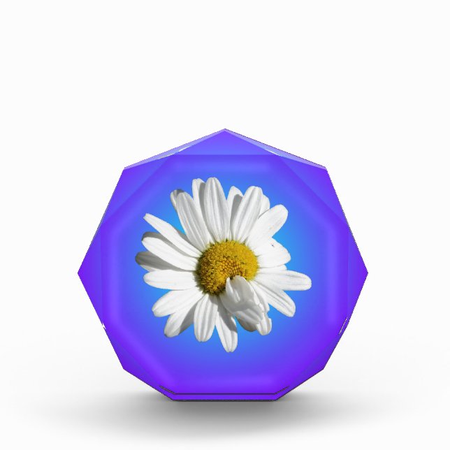 White Daisy Flower Floral Purple Blue Gradient Award (Front)