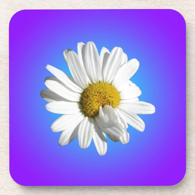 White Daisy Flower Floral Purple Blue Gradient Beverage Coaster (Front)
