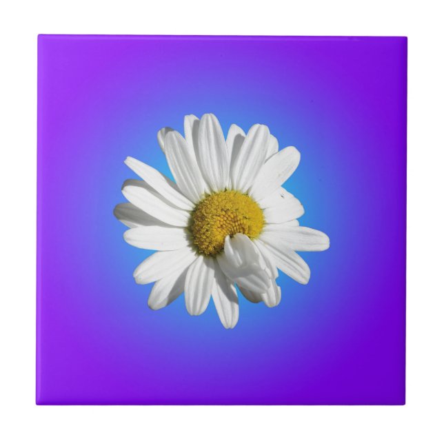 White Daisy Flower Floral Purple Blue Gradient Ceramic Tile (Front)