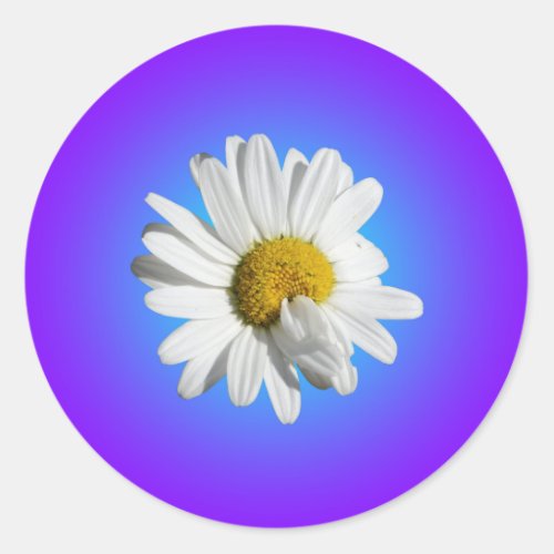White Daisy Flower Floral Purple Blue Gradient Classic Round Sticker