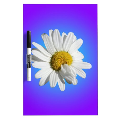 White Daisy Flower Floral Purple Blue Gradient Dry_Erase Board