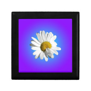 White Daisy Flower Floral Purple Blue Gradient Keepsake Box