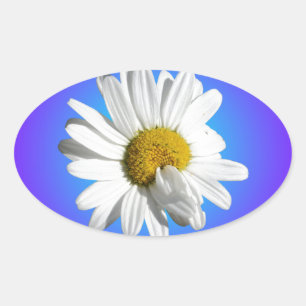 White Daisy Flower Floral Purple Blue Gradient Oval Sticker