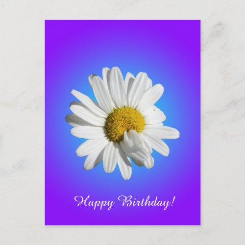 White Daisy Flower Floral Purple Blue Gradient Postcard