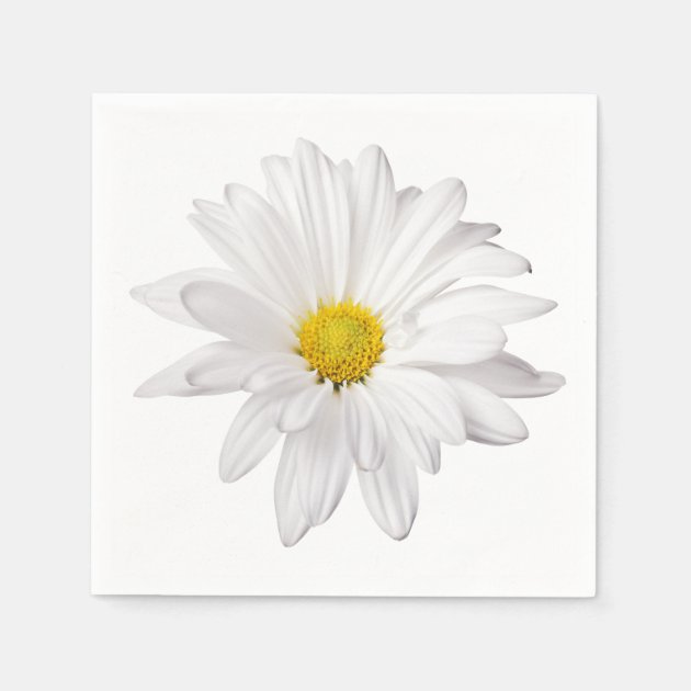 White Daisy Flower Illustration Floral Daisies Paper Napkins Zazzle Com