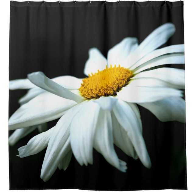 White Daisy Flower In The Wind Shower Curtain (Front)