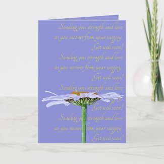 White Daisy Flower Lavender Blue Yellow Get Well