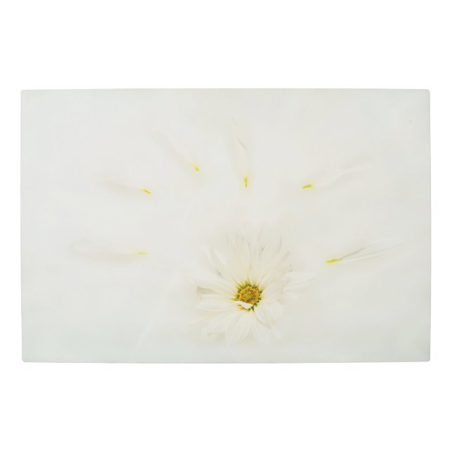 White Daisy Flower Metal Print (Front)