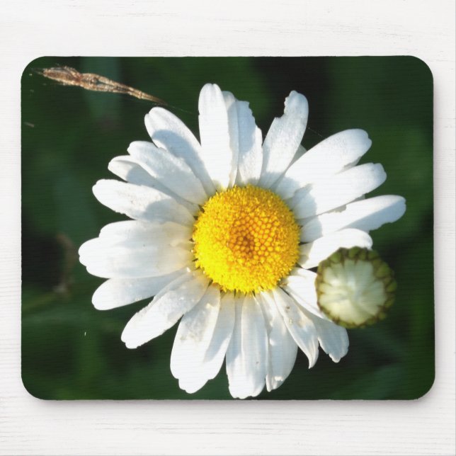 White Daisy Flower   Mousepad (Front)